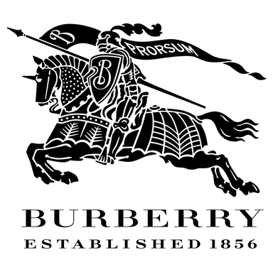 Brand logo 4